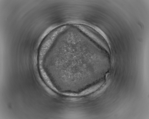 X0000113271005200910011424