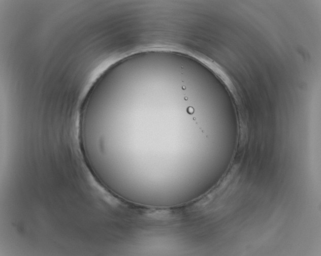 X0000113271006200910011424