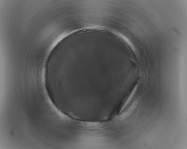 X0000113271007200910011424