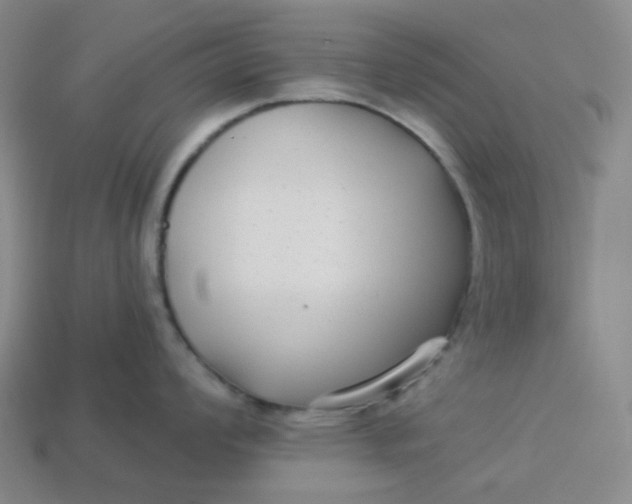 X0000113271008200910011424