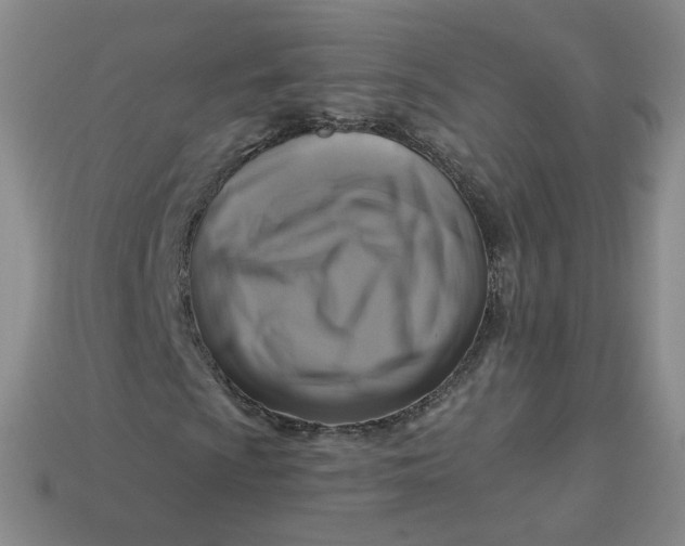 X0000113271009200910011423