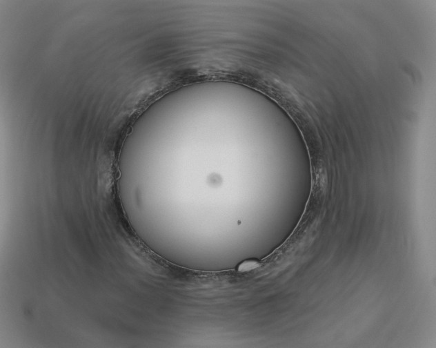 X0000113271012200910011423