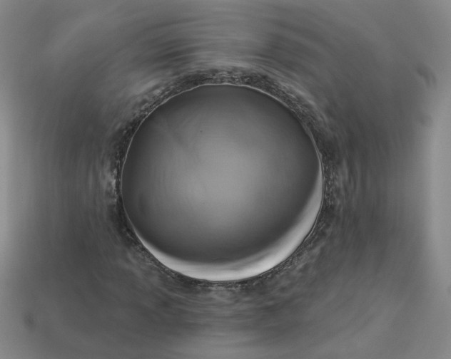 X0000113271013200910011423