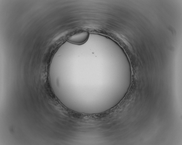 X0000113271015200910011423