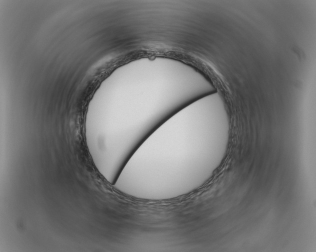 X0000113271016200910011423