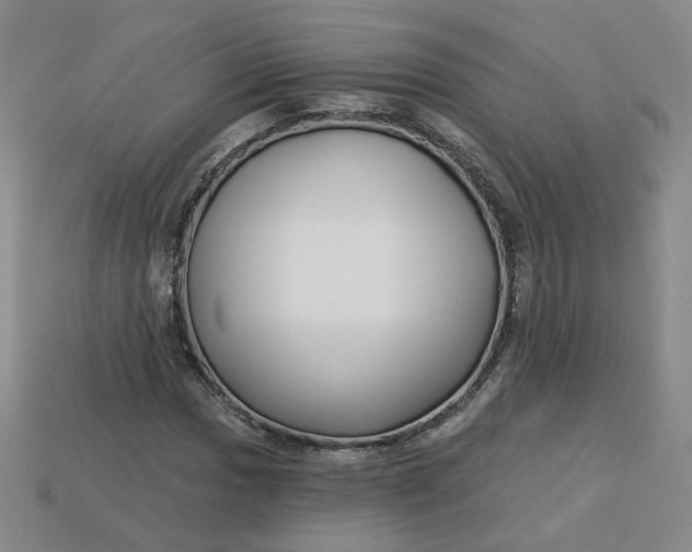 X0000113271017200910011423