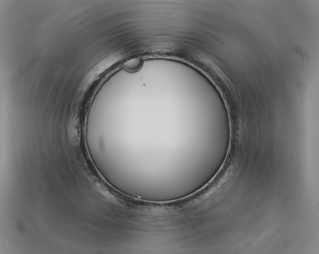 X0000113271018200910011423