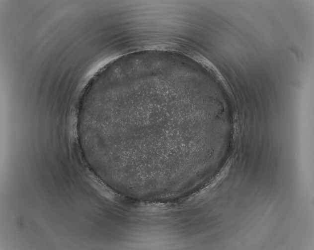 X0000113271019200910011423