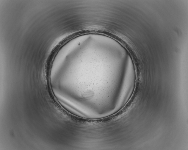 X0000113271022200910011423