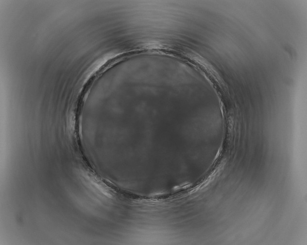 X0000113271023200910011423