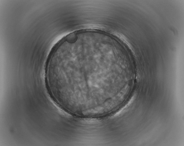 X0000113271024200910011423