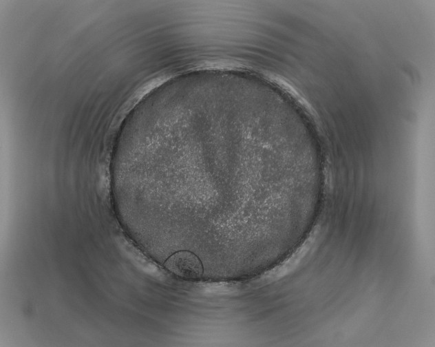 X0000113271025200910011423