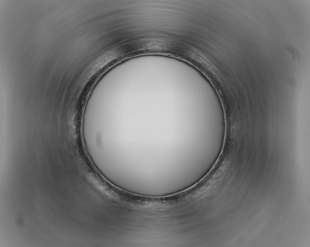 X0000113271026200910011423