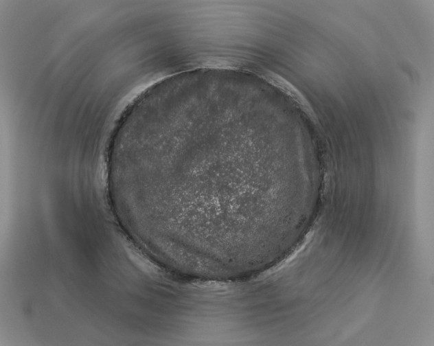 X0000113271027200910011423