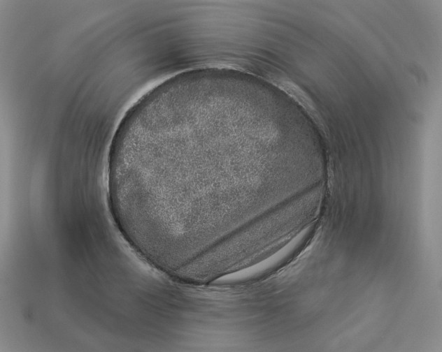 X0000113271028200910011423