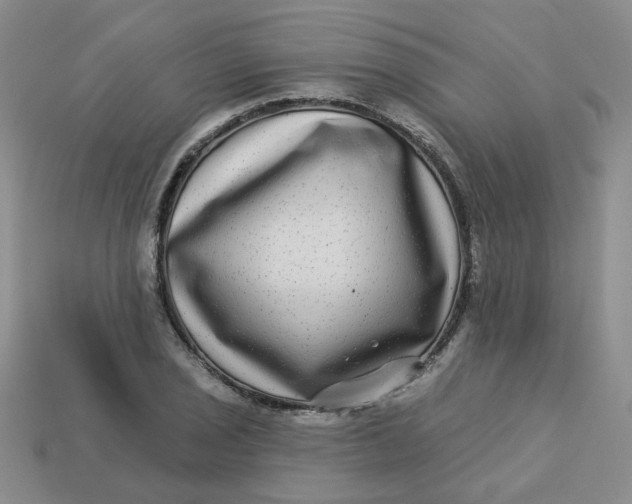 X0000113271029200910011423