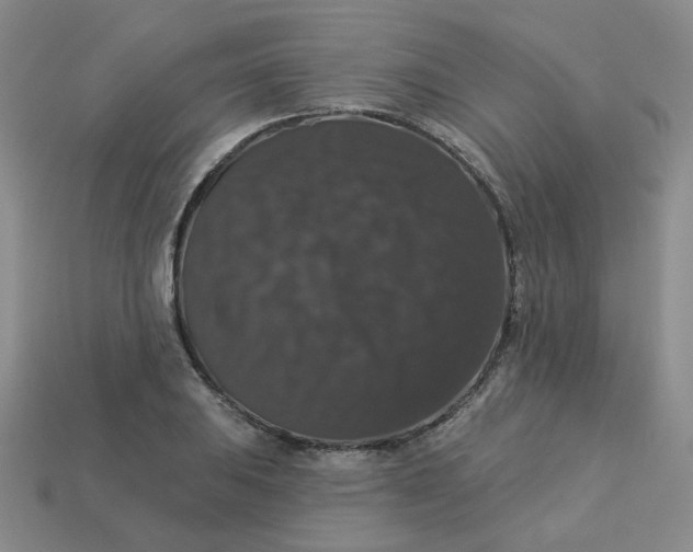 X0000113271031200910011423