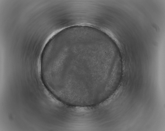 X0000113271032200910011423