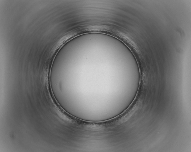 X0000113271033200910011424