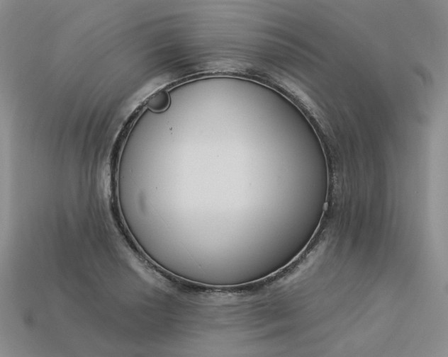 X0000113271034200910011424