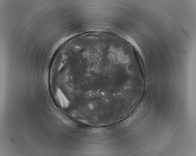 X0000113271035200910011424