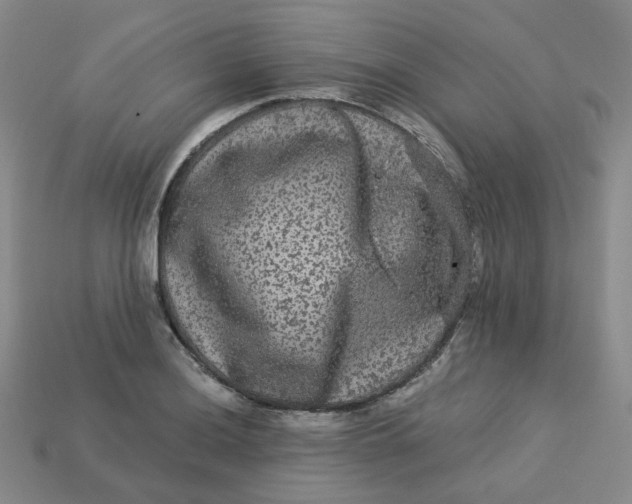 X0000113271036200910011424