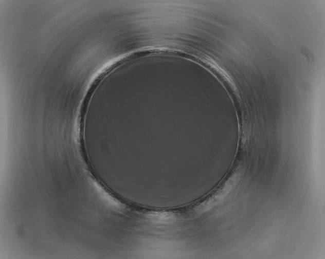 X0000113271037200910011424