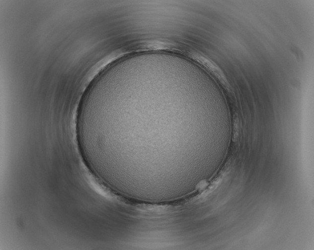 X0000113271039200910011424