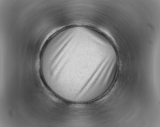 X0000113271040200910011424