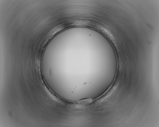 X0000113271041200910011424