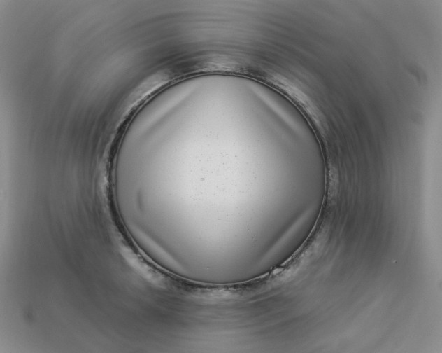 X0000113271042200910011424