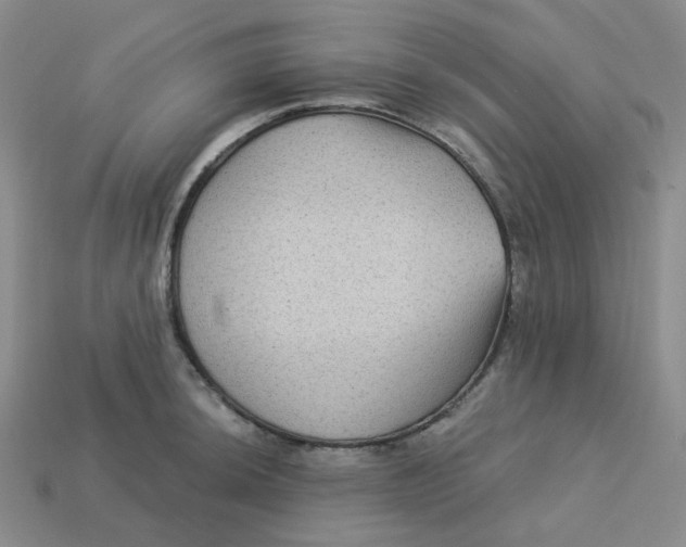 X0000113271044200910011424