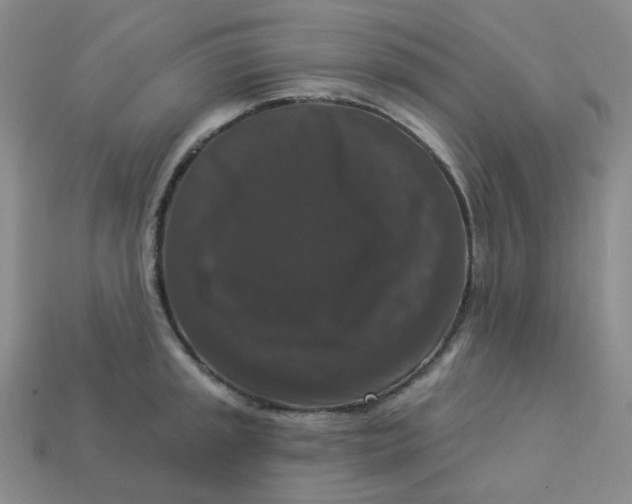 X0000113271045200910011424