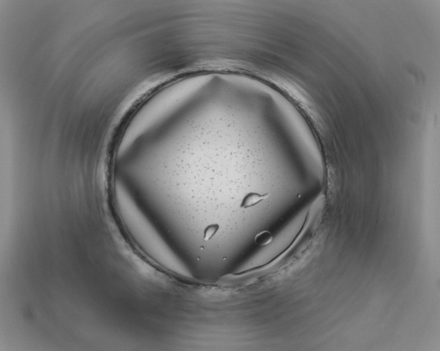 X0000113271046200910011424