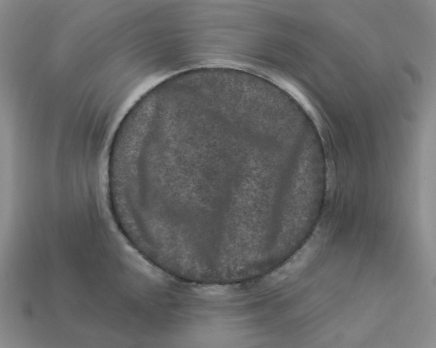 X0000113271048200910011424