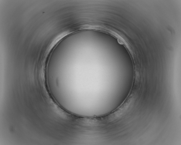 X0000113271050200910011424