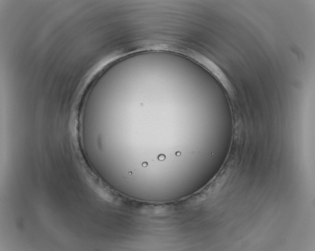 X0000113271051200910011424