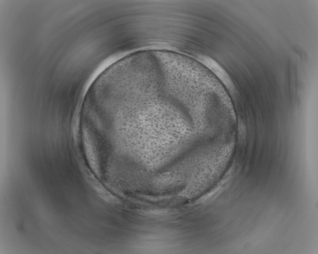 X0000113271052200910011424