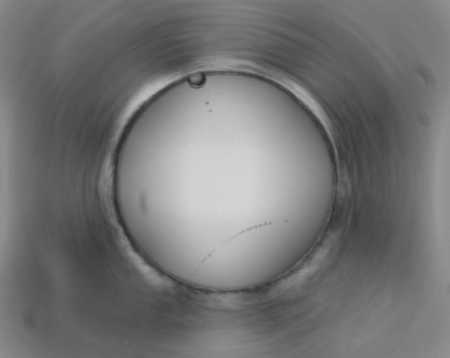 X0000113271053200910011424