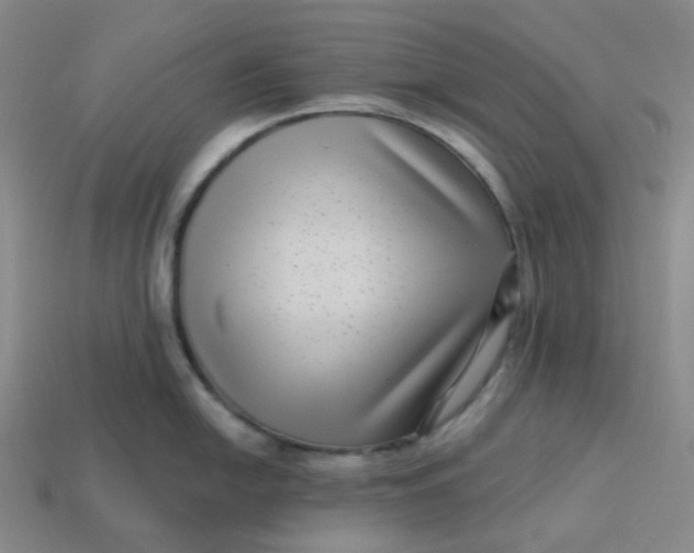 X0000113271054200910011424