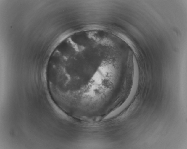 X0000113271055200910011424