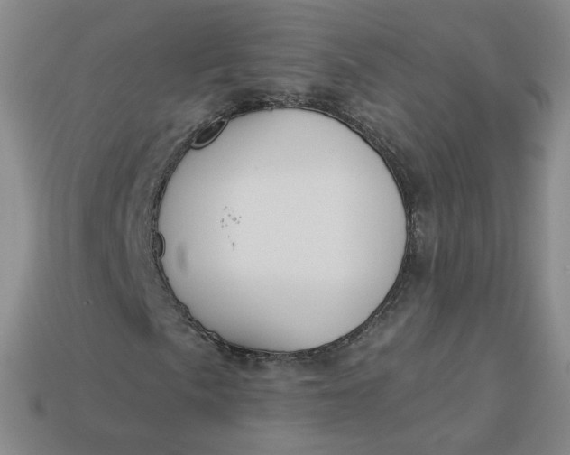 X0000113271057200910011423