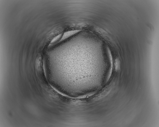 X0000113271059200910011423