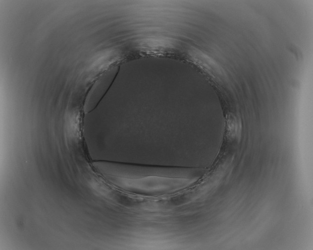 X0000113271060200910011423