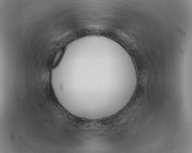 X0000113271061200910011423