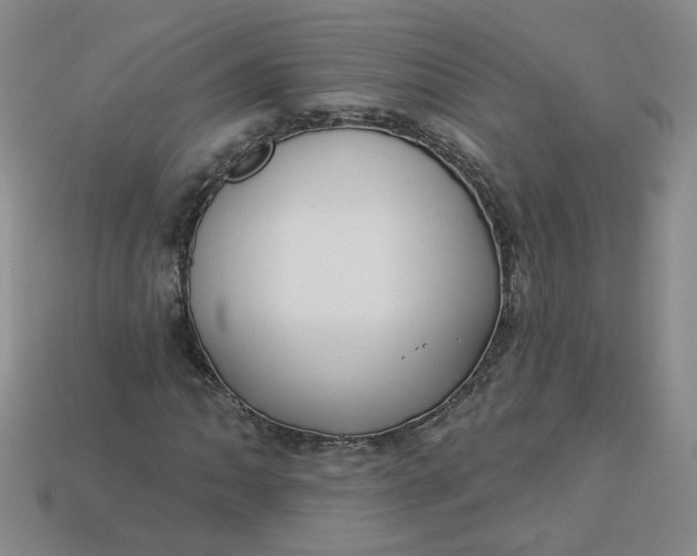 X0000113271062200910011423