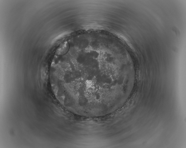 X0000113271063200910011423