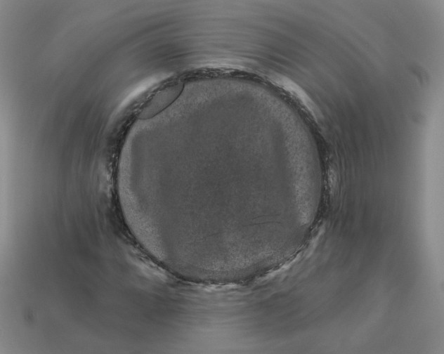 X0000113271064200910011423