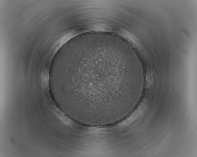 X0000113271065200910011423