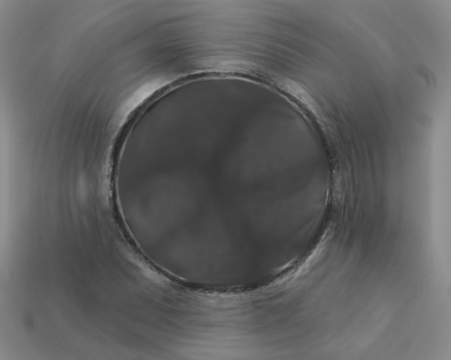 X0000113271071200910011423